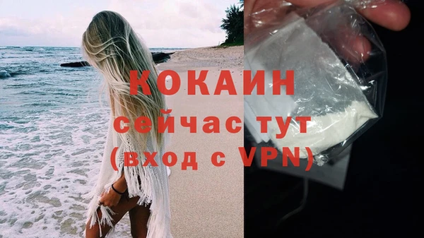 ALPHA PVP Осинники