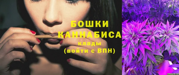 Альфа ПВП Осташков